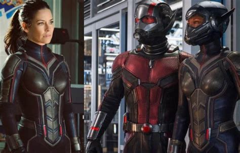 Some People Are Very Upset About Evangeline Lilly's New Wasp Costume