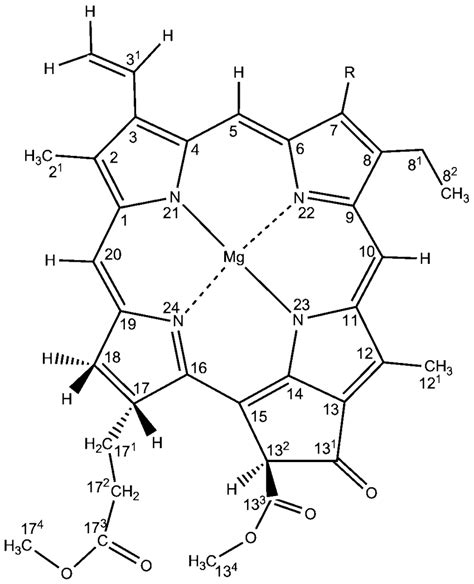 The Molecular Structure And Atom Labels Of Chl A R CH 3 And Chl B