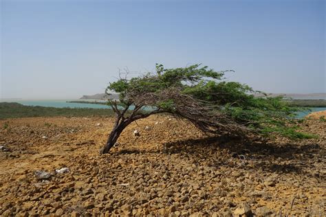 Through the lens: Colombia's Guajira Peninsula - Phil Bourne