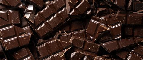 Chocolate Equipment Manufacturers | Horizon Systems