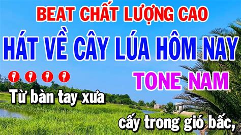 Hát Về Cây Lúa Hôm Nay Karaoke Nhạc Sống Tone Nam Beat Chất Lượng Cao