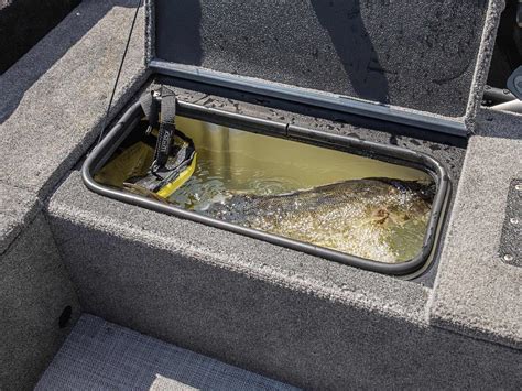 Comment nettoyer un bateau de pêche en aluminium Alumacraft