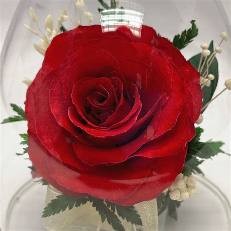 67341 Long Lasting Red Rose In A Angel Shaped Glass Vase — Fiora Flower