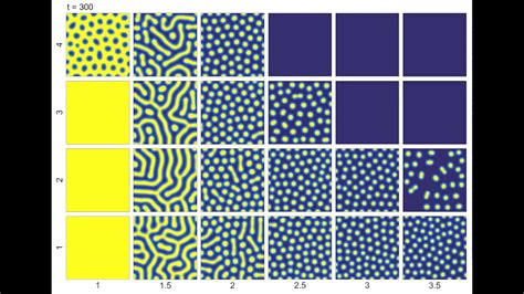 Turing Patterns In A Reaction Diffusion Model Youtube