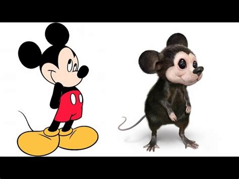 Mickey Mouse In Real Life