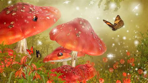 Mystical Mushrooms wallpaper | nature and landscape | Wallpaper Better