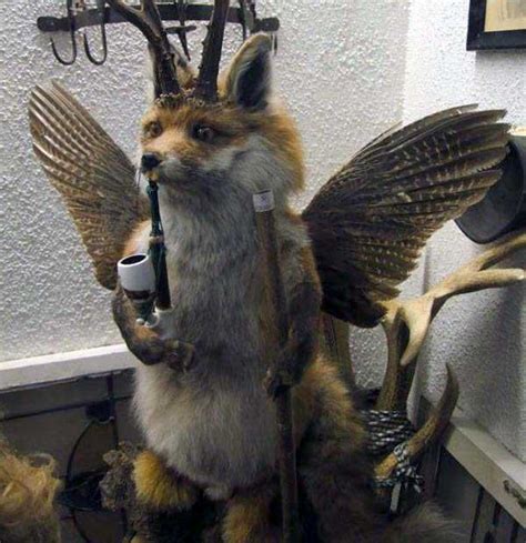 Taxidermy Gone Awfully Wrong | KLYKER.COM