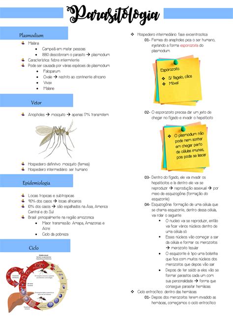 Plasmodium teoria Material sobre parasitologia Malária Campeã em