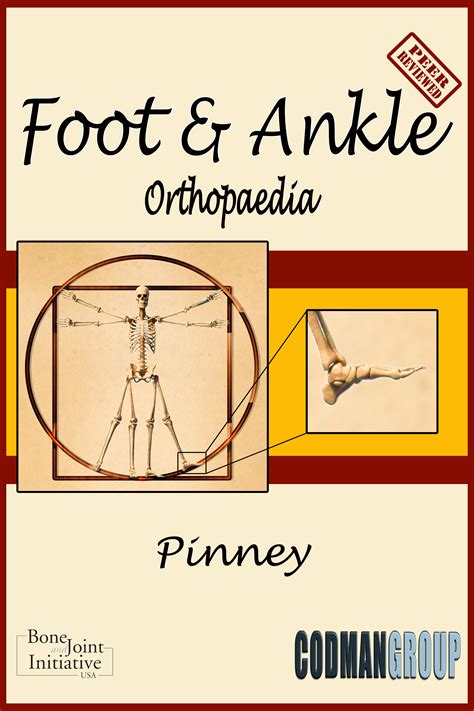 Biomechanics of the Foot and Ankle – Orthopaedia: Foot & Ankle
