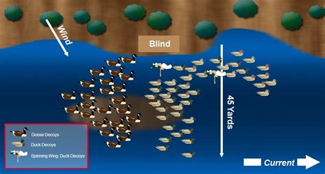 Duck Decoy Spreads: 12 Best Strategies to Lure Them In