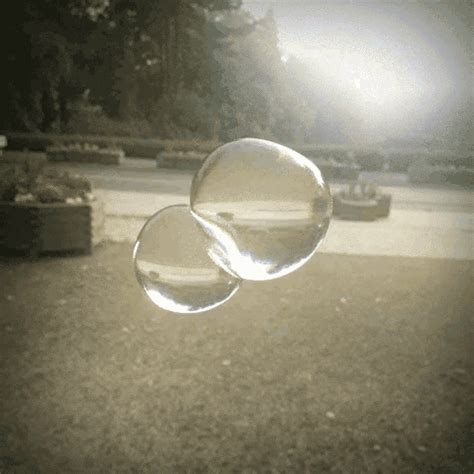 Bubbles GIF - Bubbles - Discover & Share GIFs