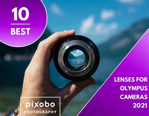 Best Lenses For Olympus Cameras In 2021 Pixobo Profitable Photography