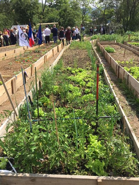 Inauguration Des Jardins Partag S De Saint Claude