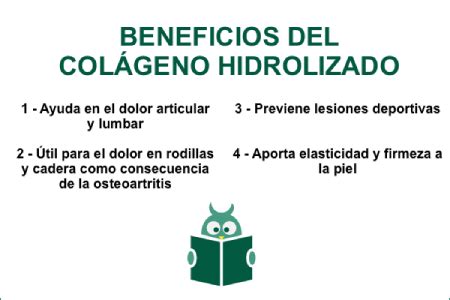 Cu L Es El Mejor Col Geno Hidrolizado Comparativa Elb Hoverde