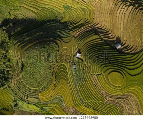 604 Rice Terraces Vietnam Royalty Images, Stock Photos, 3D objects ...