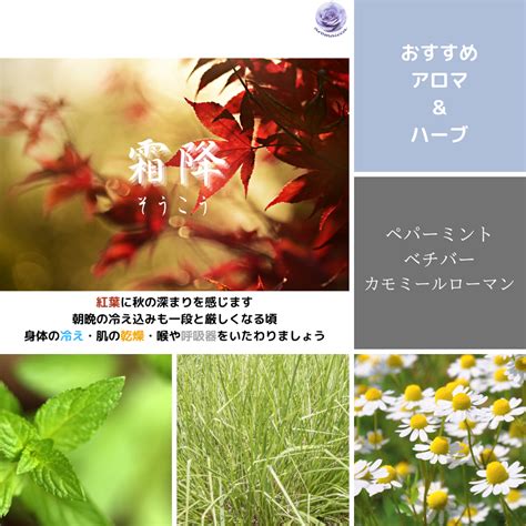 【二十四節気】霜降（そうこう）：2024年は10月23日～過ごし方とイメージする香り 大人の学び直し・リカレント学習にアロマテラピー～知っ