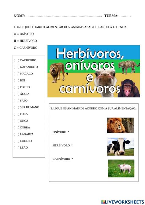 Galinha é Carnivoro Herbivoro E Onivoro - 5