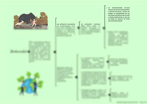 SOLUTION Biodiversidad Studypool