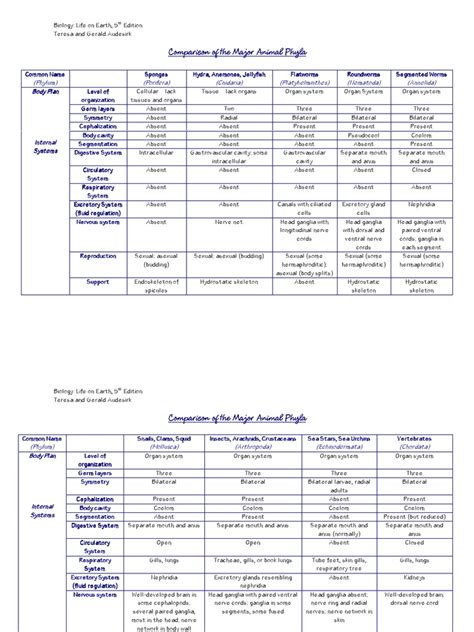 Animal Phyla Characteristics Chart