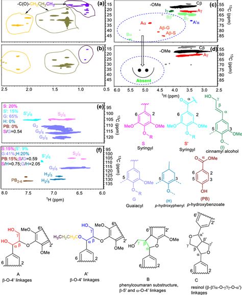 2D ¹³C ¹H HSQC NMR spectra of lignin and aromatic products samples a