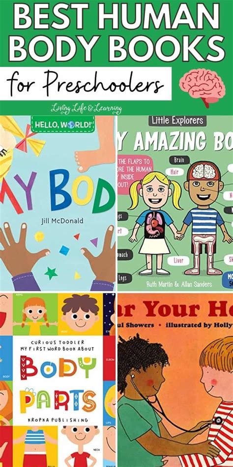 Best Human Body Books For Preschoolers