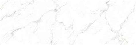 Emma Stone Nude Scene What To Expect In Her Boldest Performances