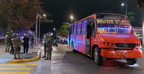 PATRULLAZO EN EL ÁRBOL DEL BIKINI