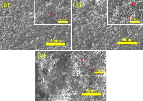 microstructure  oxidation surface  oxidation experiment