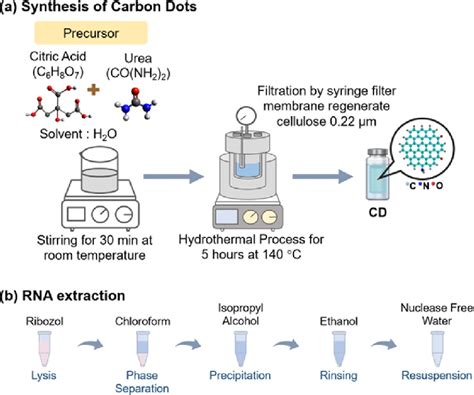 Method Of Experiment Diagrams A Cds Synthesis Process With The Download Scientific Diagram