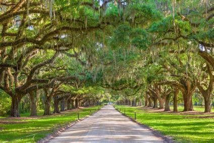 Charleston In Two Days Easy Going Itinerary Visit A City