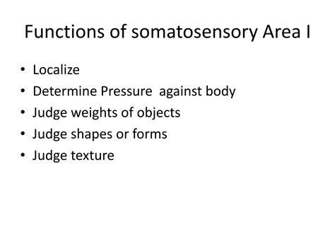 Sensory system | PPT