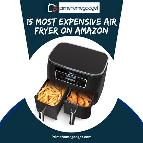 Most Expensive Air Fryer On Amazon Prime Home Gadget