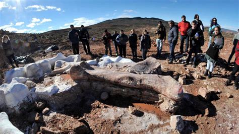 Fossils of giant 'Titanosaur' found in Argentina | Fox News