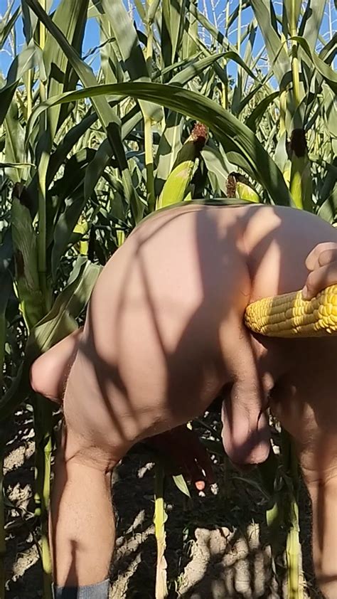 Corn In Ass Video 2 ThisVid