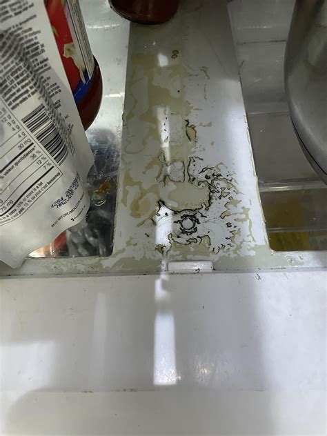 I'm freaking out about not being able to clean my fridge : r/CleaningTips