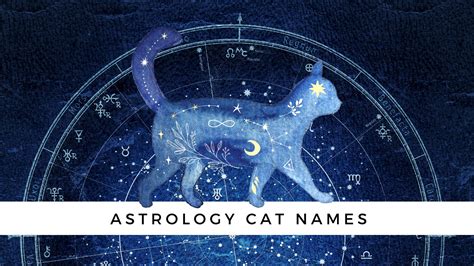 Astrology Cat Names Based On Your Cat S Zodiac Sign