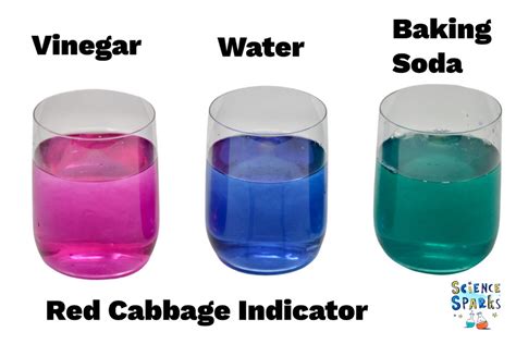 Using red cabbage indictor to test pH