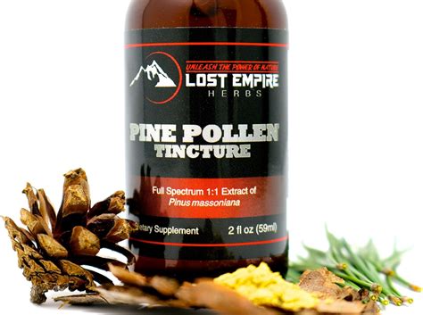 Buy Pine Pollen Tincture Fl Oz Herbal Supplement By Lost Empire