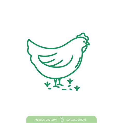 2 800 Hen Line Drawing Stock Illustrations Royalty Free Vector