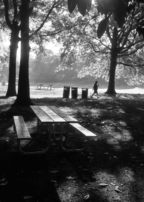 Picnic Tables Jim ATL Flickr