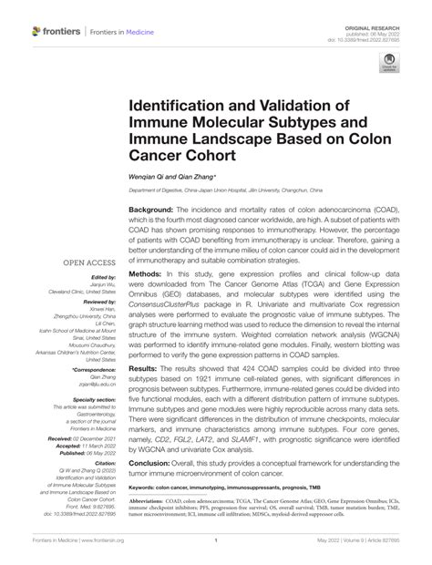 Pdf Identification And Validation Of Immune Molecular Subtypes And