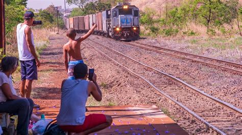 Cruzamento Show De Trens Em Zhb Fam Lias Filmando A Passagem Do Trem