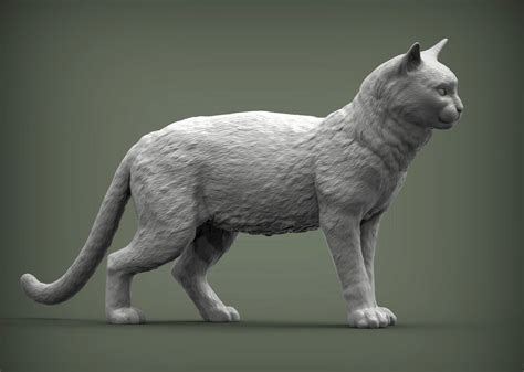 Domestic Cat Standing Pose Blank Or Custom Painted 3d Printed Etsy