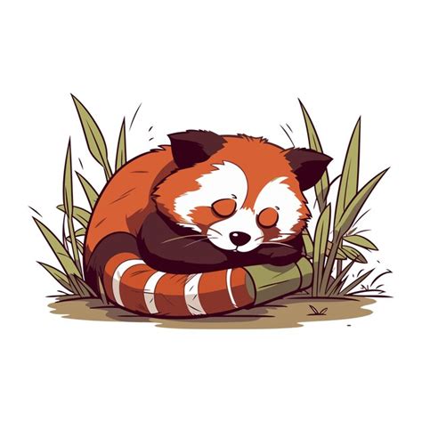 Lindo panda vermelho dormindo na grama ilustração vetorial Vetor Premium