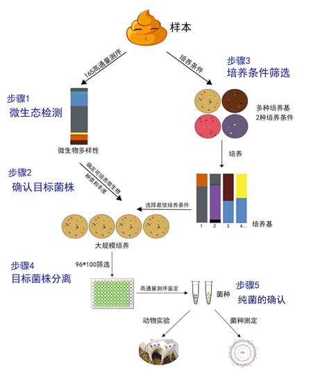 高通量培养组学筛选 微基生物