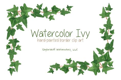 Watercolor Ivy Border Clip Art Digital by SaylorWolfGraphics