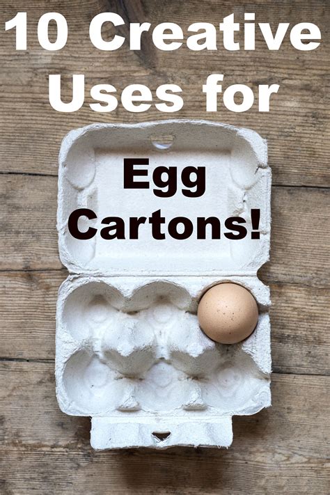 Creative Uses For Old Egg Cartons Artofit