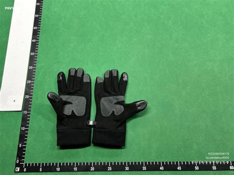 3$ north face gloves : r/Pandabuy