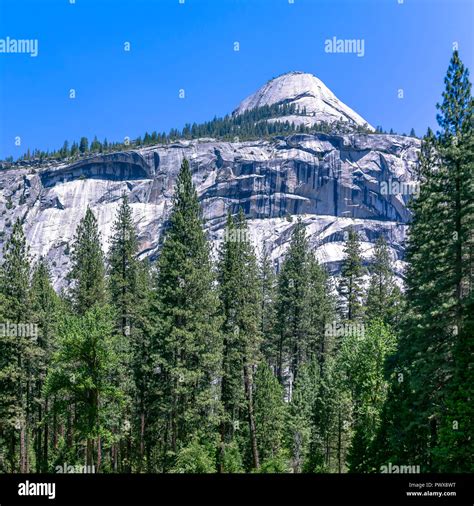 White Mountain And Towering Trees In Yosemite Ca Stock Photo Alamy