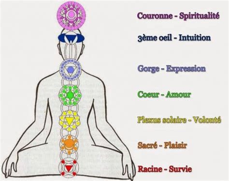 Quels Sont Les Chakras Du Corps Vincent Carr